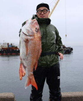 魚英