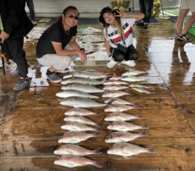 あなたに逢い鯛。釣り堀