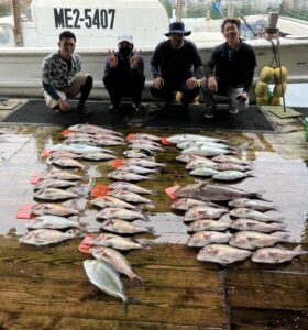 あなたに逢い鯛。釣り堀