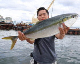 魚英
