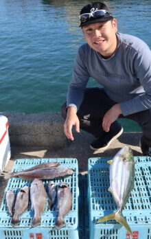 魚英