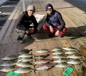 あなたに逢い鯛。釣り堀