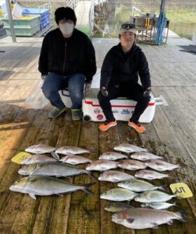 あなたに逢い鯛。釣り堀