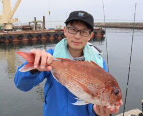 魚英