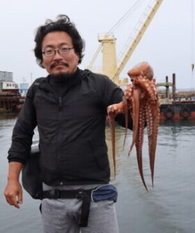 魚英