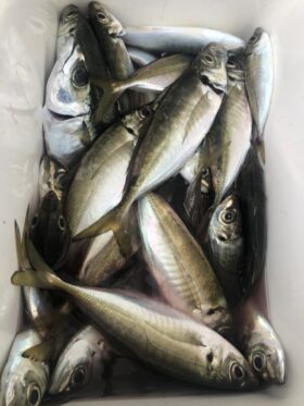 釣り船 松兵衛