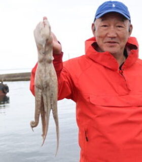 魚英
