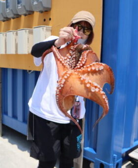 魚英