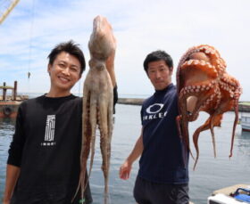 魚英