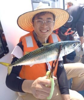 斎藤丸