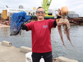 魚英