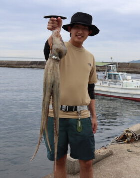 魚英