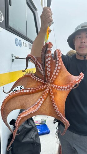 釣人家