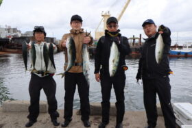 魚英