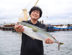 魚英