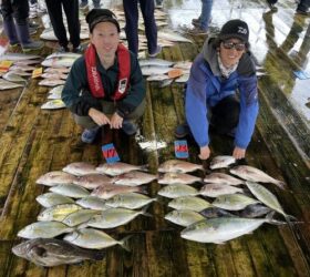あなたに逢い鯛。釣り堀