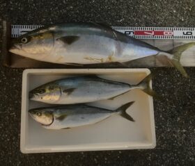 西野渡船