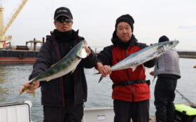 魚英