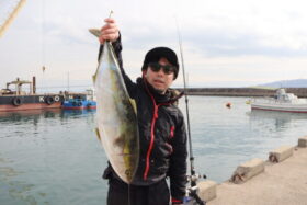 魚英