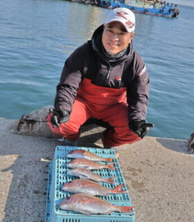 魚英