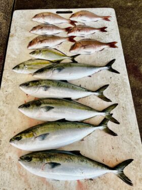 はさま浦釣り堀センター