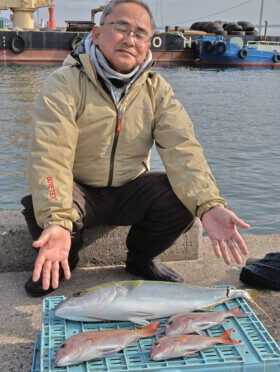 魚英