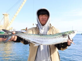 魚英