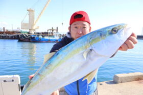魚英