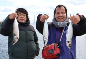 魚英