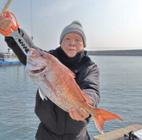 魚英