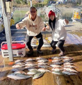 あなたに逢い鯛。釣り堀