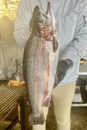 はさま浦釣り堀センター