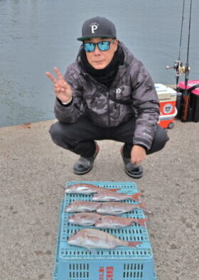 魚英
