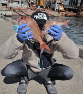 魚英