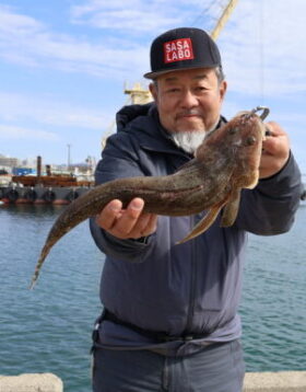 魚英