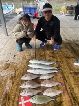 あなたに逢い鯛。釣り堀
