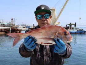 魚英