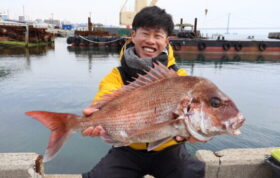 魚英