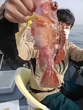 斎藤丸