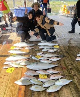 あなたに逢い鯛。釣り堀