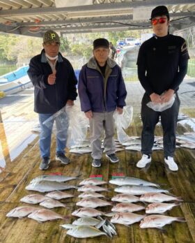 あなたに逢い鯛。釣り堀