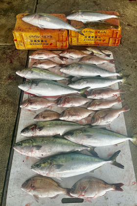 はさま浦釣り堀センター