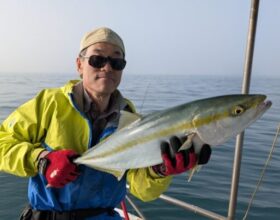 魚英