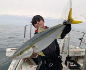 魚英