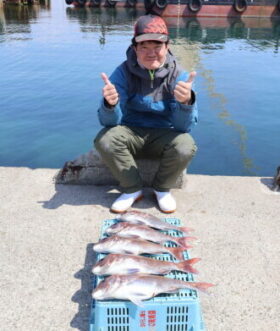 魚英