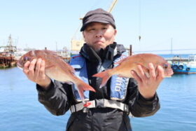 魚英