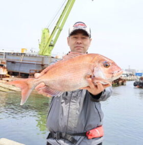 魚英