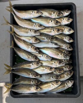 釣り船 松兵衛