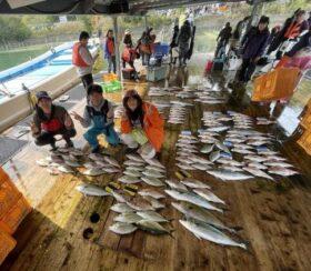 あなたに逢い鯛。釣り堀