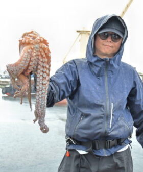 魚英